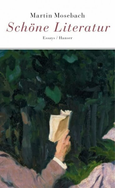 Schöne Literatur. Essays