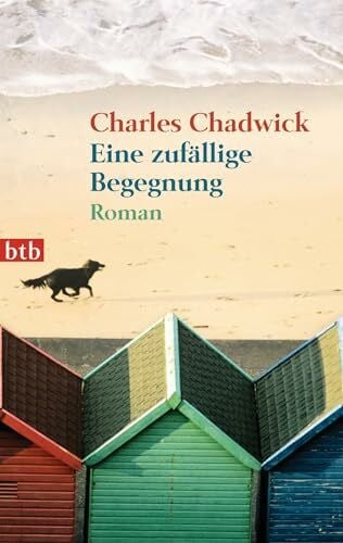 Eine zufällige Begegnung: Roman