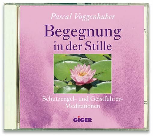 Begegnung in der Stille: Schutzengel- und Geistführer Meditationen