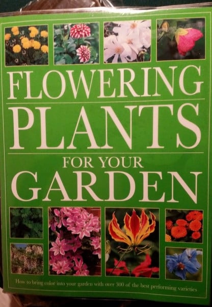 Flowering Plants for Your Garden