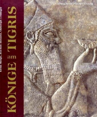 Könige am Tigris: Medien assyrischer Herkunft