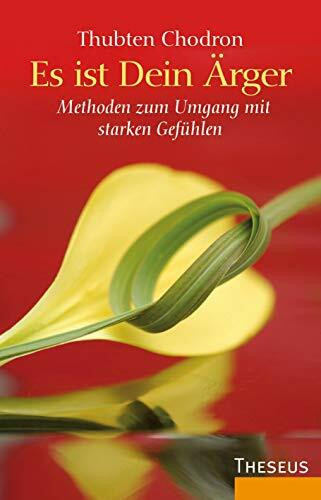 Es ist Dein Ärger: Methoden zum Umgang mit starken Gefühlen