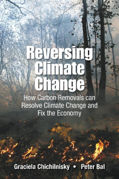 Reversing Climate Change: How Carbon Removals Can Resolve Climate Change and Fix the Economy
