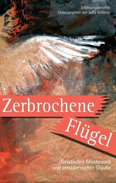 Zerbrochene Flügel: Geistlicher Missbrauch und zerstörerischer Glaube. Erfahrungsberichte