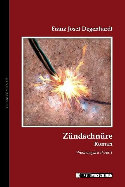 Zündschnüre: Roman (Werkausgabe Franz Josef Degenhardt / Belletristisches Gesamtwerk)