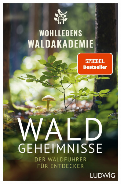 Waldgeheimnisse: Der Waldführer für Entdecker - Vorwort von Peter Wohlleben