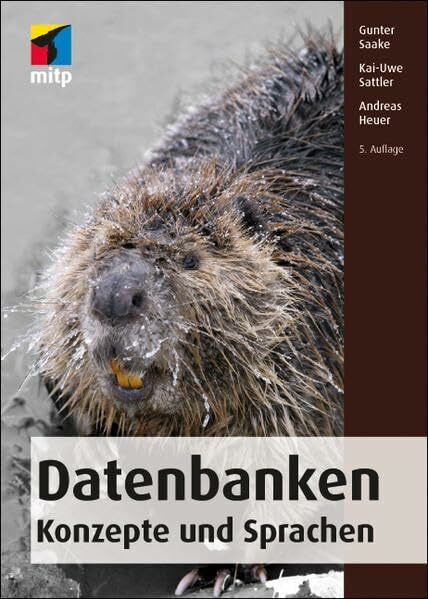 Datenbanken – Konzepte und Sprachen (mitp Professional)