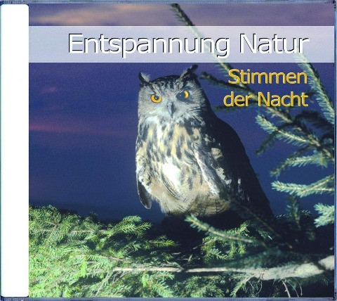 Entspannung Natur - Stimmen der Nacht