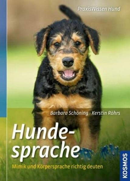 Hundesprache: Mimik und Körpersprache richtig deuten