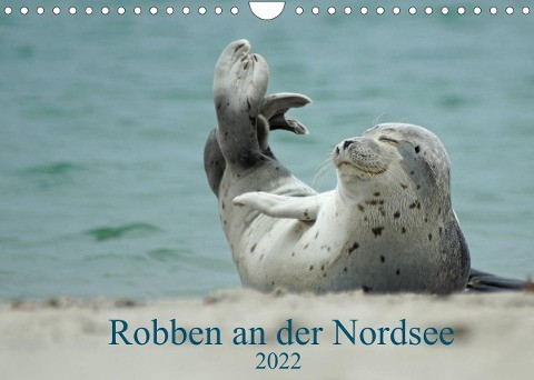 Robben an der Nordsee (Wandkalender 2022 DIN A4 quer)