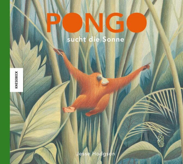 Pongo sucht die Sonne