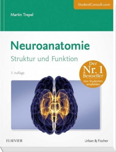 Neuroanatomie