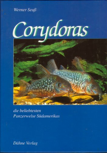 Corydoras, die beliebtesten Panzerwelse Südamerikas