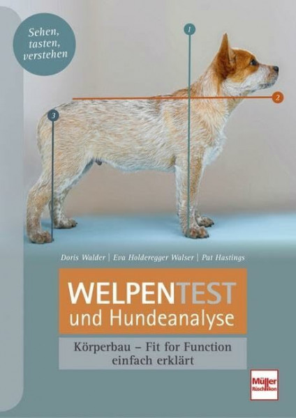 Welpentest und Hundeanalyse: Körperbau - Fit for Function - einfach erklärt