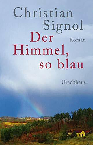 Der Himmel, so blau: Roman