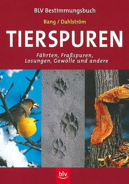 Tierspuren (BLV Bestimmungsbuch)