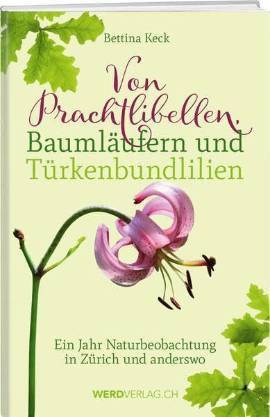 Von Prachtlibellen, Baumläufern und Türkenbundlilien: Ein Jahr Naturbeobachtungen in Zürich und anderswo