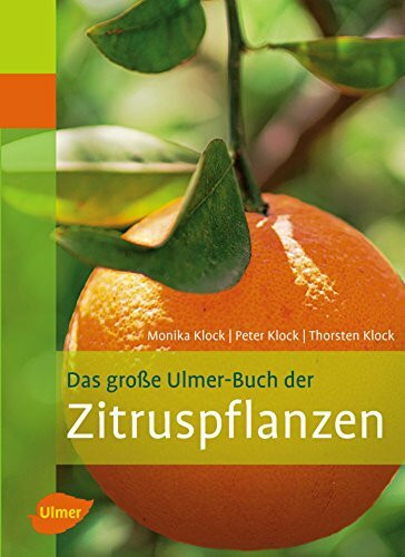 Das große Ulmer-Buch der Zitruspflanzen (Pflanzen-Monographien)