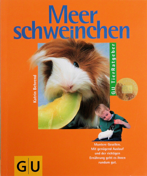 Meerschweinchen