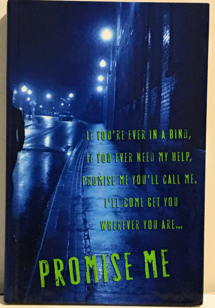 Promise Me (Myron Bolitar, 8, Band 8)