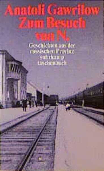 Zum Besuch von N.: Geschichten aus der russischen Provinz (Suhrkamp Taschenbücher)