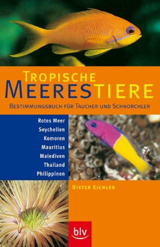 Tropische Meerestiere: Bestimmungsbuch f. Taucher u. Schnorchler - Rotes Meer, Seychellen, Komoren, Mauritius, Malediven, Thailand