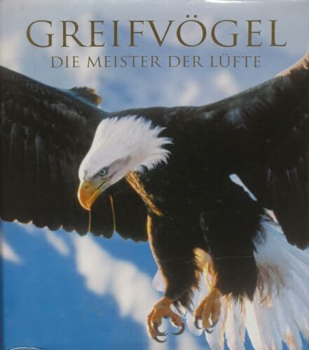 Greifvögel: Die Meister der Lüfte