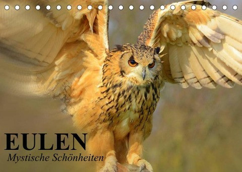 Eulen. Mystische Schönheiten (Tischkalender 2023 DIN A5 quer)