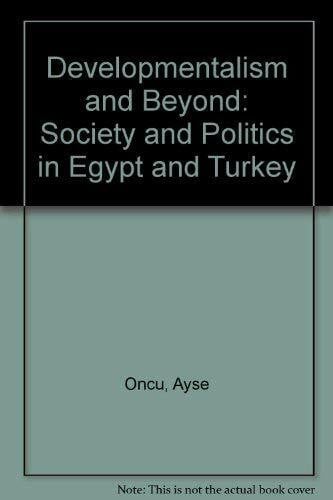 Developmentalism and Beyond: Society and Politics in Egypt and Turkey