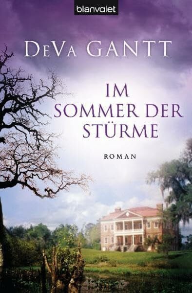 Im Sommer der Stürme: Roman