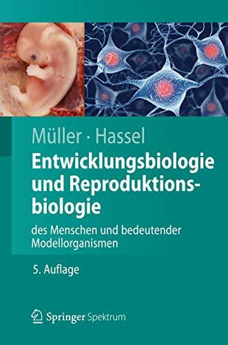 Springer Spektrum Entwicklungsbiologie Und Reproduktionsbiologie Des Menschen Und Bedeutender Modellorganismen (...