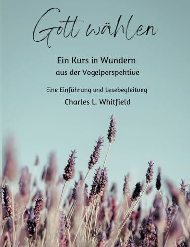 Gott wählen: Ein Kurs in Wundern aus der Vogelperspektive