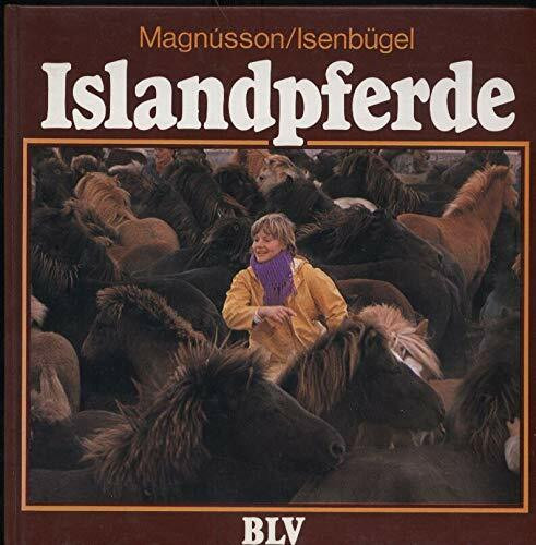 Islandpferde.