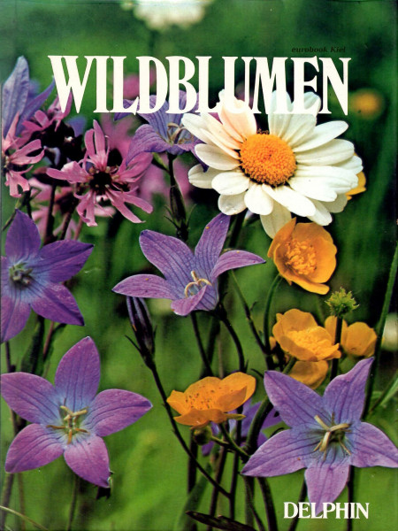 Wildblumen
