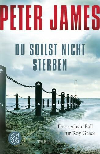 Du sollst nicht sterben: Thriller (Roy Grace, Band 6)