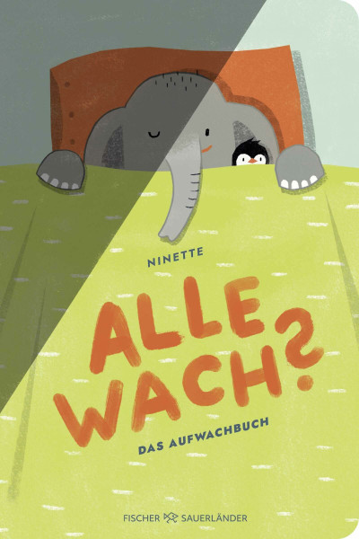 Alle wach?: Ein Aufwachbuch | Ein lustiges Pappbilderbuch über Morgenrituale und den Kitastart für Kinder ab 2 Jahren