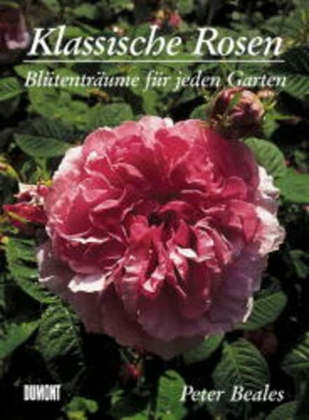 Klassische Rosen: Blütenträume für jeden Garten