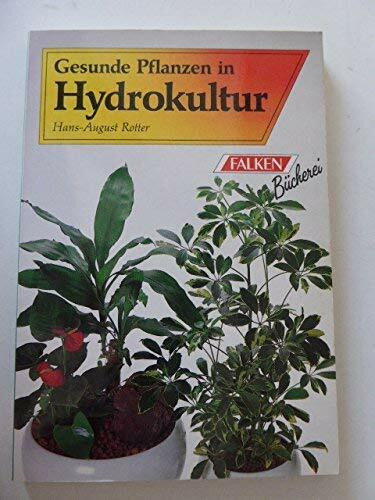 Gesunde Pflanzen in Hydrokultur.