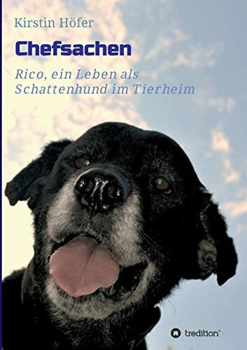 Chefsachen: Rico - ein Leben als Schattenhund im Tierheim