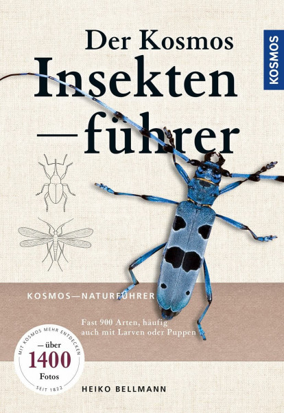 Der KOSMOS Insektenführer: Fast 1000 Arten, häufig auch Raupen oder Puppen