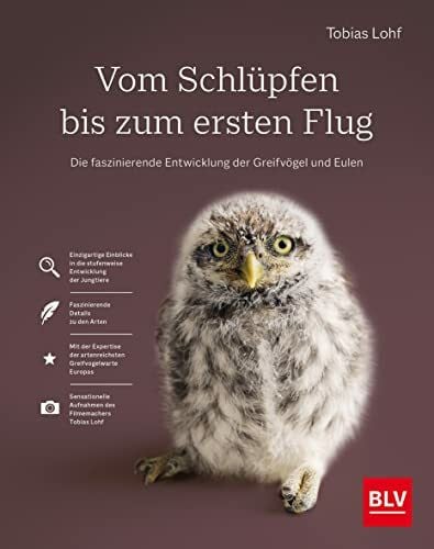 Vom Schlüpfen bis zum ersten Flug: Die faszinierende Entwicklung der Greifvögel und Eulen (BLV Vögel)