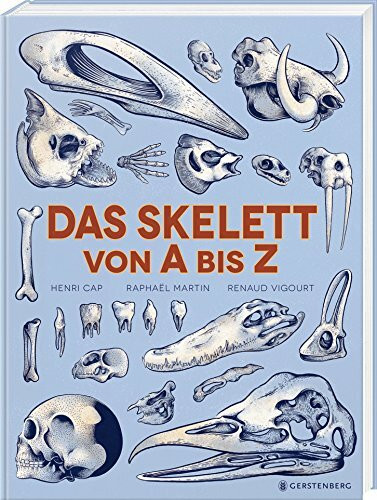 Das Skelett von A bis Z