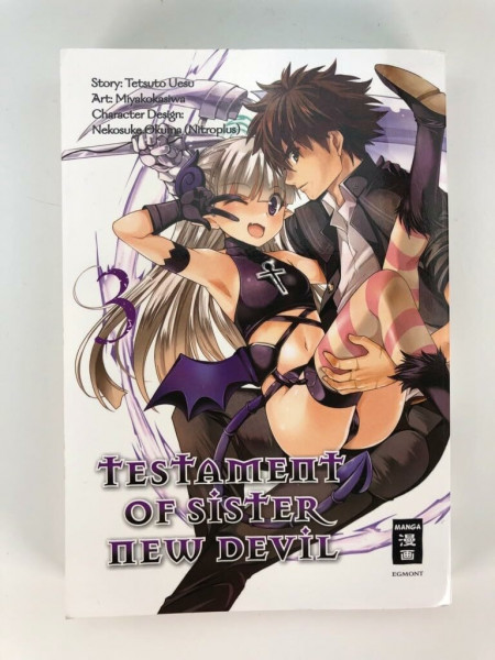 Testament of Sister New Devil 03