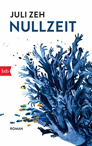 Nullzeit: Roman