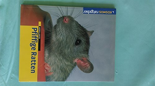 Pfifige Ratten