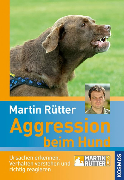 Aggression beim Hund: Ursachen erkennen, Verhalten verstehen und richtig reagieren