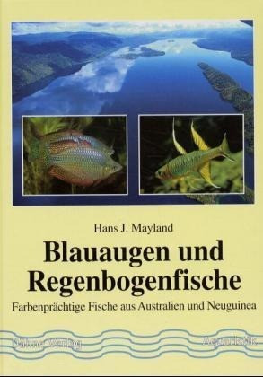 Blauaugen und Regenbogenfische