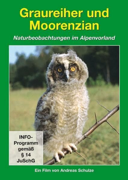 Graureiher und Moorenzian