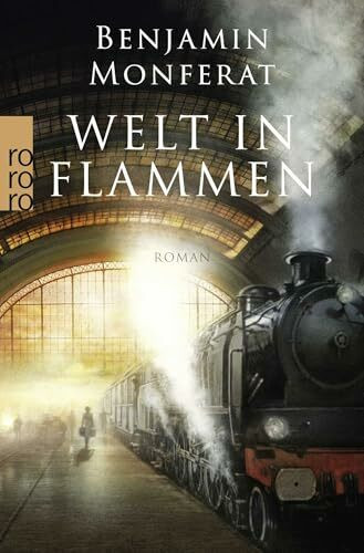 Welt in Flammen: Roman