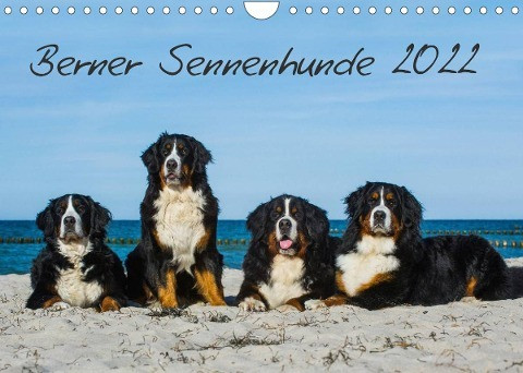Berner Sennenhund 2022 (Wandkalender 2022 DIN A4 quer)
